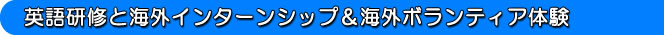 英語研修と海外インターンシップ&海外ボランティア留学