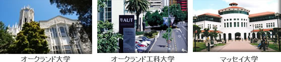 ファウンデーションコース