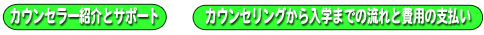 カウンセラー、費用紹介