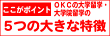 5つの大きな特徴