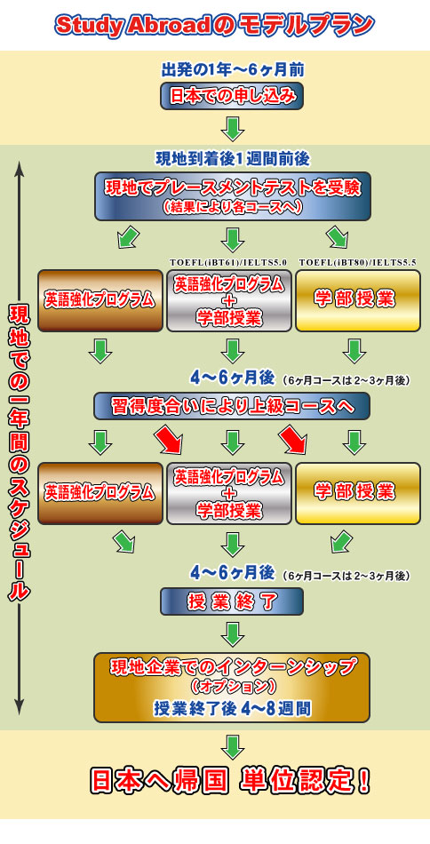 モデルプラン