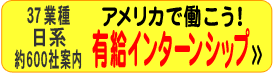 有給インターンシップ