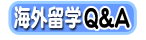 海外留学Q&A