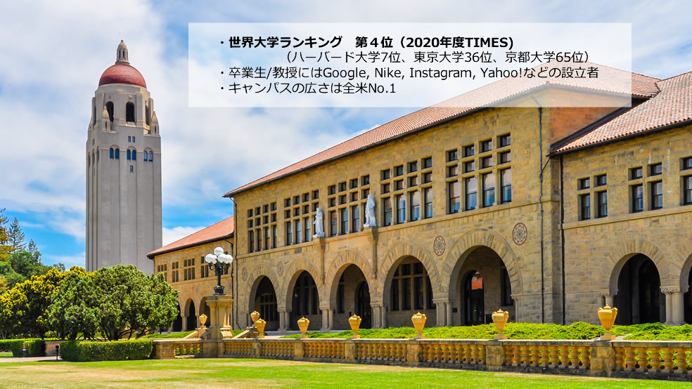 スタンフォード大学