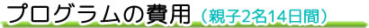 プログラム費用