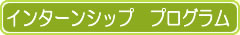 インターンシップ　プログラム