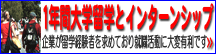 学部