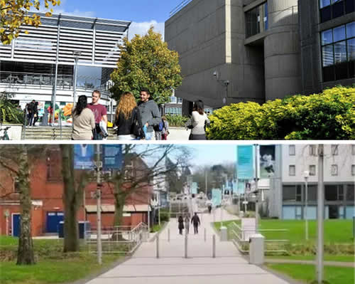 ブルネル大学