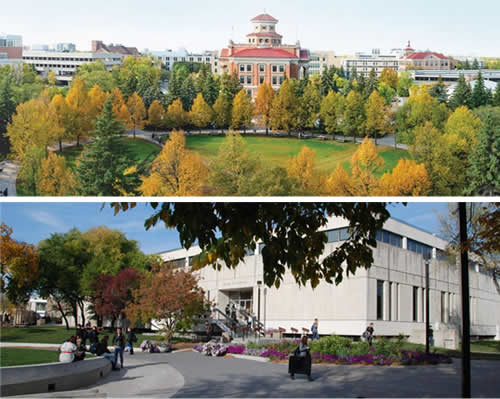 マニトバ大学