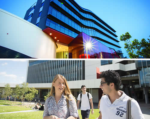 グリフィス大学