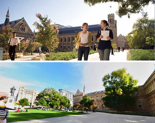 アデレード大学
