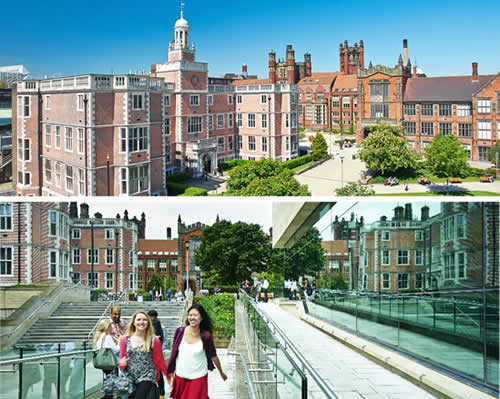 ニューキャッスル大学