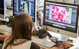 Intro to Digital Photography & Photoshop