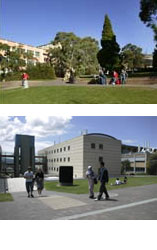 タスマニア大学