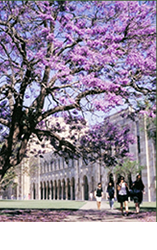 クイーンズランド大学