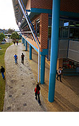 サザンクロス大学
