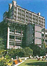 カンタベリー大学